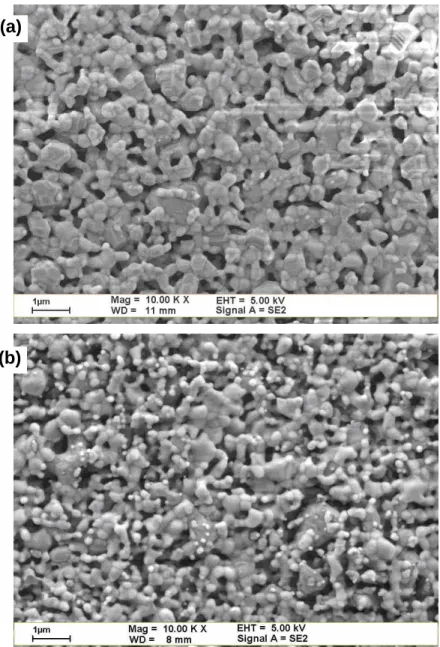 Fig. 1 SEM micrographs of the top view of NiO/YSZ tapes, (a) as-sintered at 1300 o C for 1(a)