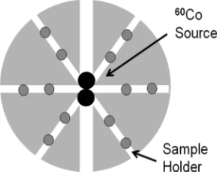 Fig. 1. Schematic diagram of the supporting disk for gamma-ray-irradiation.