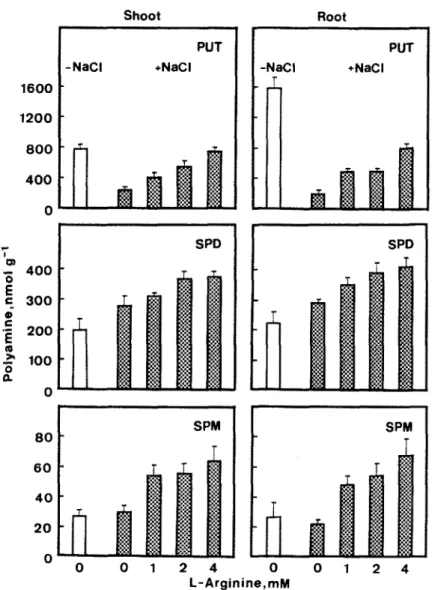 Fig.  3.  Effect of L-arginine  on  polyamine  levels in  rice seedlings treated with  NaC1