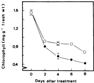 Fig.  I.  Changes  in  chlorophyll  levels  in  tobacco  leaves during  flooding and  recovery (.--)  compared  with  unstressed controls