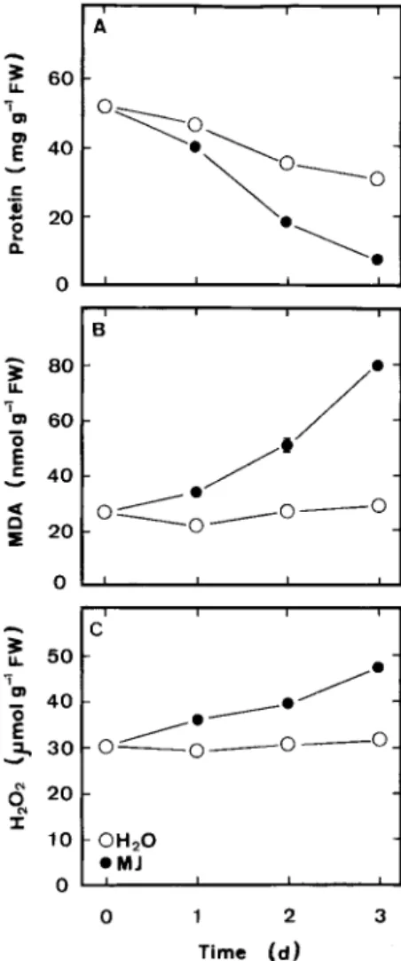 Figure 1. Changes in the contents of protein (A), MDA (B), and H 2 O 2