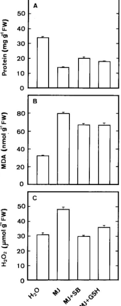 Figure 2. Effect of free radical scavengers (SB and GSH) on protein (A), MDA (B), and H 2 O 2 (C) contents in rice leaves treated with MJ.