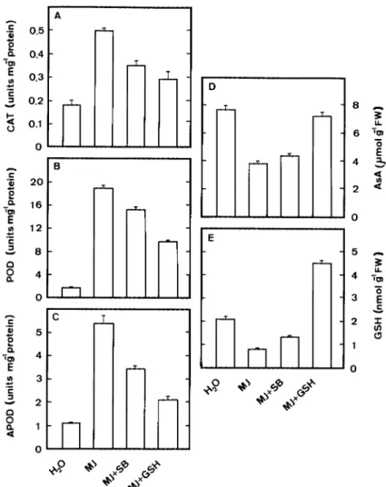 Figure 5. Effect of free radical scavengers on the activities of antioxidative enzymes [CAT (A), POD (B), and APOD (C)] and the contents of AsA (D) and GSH (E) in rice leaves treated with MJ