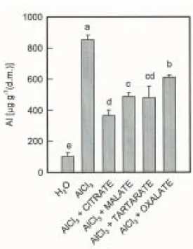 Fig. 8. Effect of AlCl 3 and organic acids on Al level in roots of rice seedlings. Two-day-old seedlings were treated with distilled water (pH 4.0), 0.5 m M AlCl 3 (pH 4.0), 0.5 mM AlCl 3 and 0.5 mM organic acids (pH 4.0) for 2 days