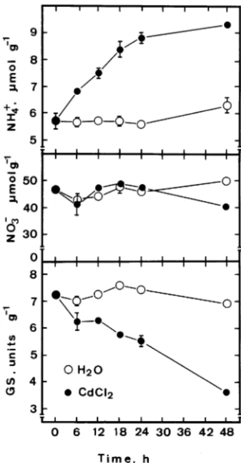 Fig. 4. Time course of the CdCl 2 effect on chlorophyll, protein, and ammonium contents in detached rice leaves in the light