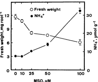Fig.  6.  Changes  in  fresh  weight  of  and  ammonium  level  in  roots  of  NaGtreated  rice  seedlings  grown  in  the  presence  or  absence  of  NaCl  (150  mM)