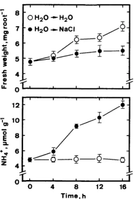 Fig.  7.  Changes  in  fresh  weight  of  and  ammonium  level  in  roots  of  2-day-old-rice  seedlings  grown  in  the  presence  or  absence  of  NaCl  (150  mM)