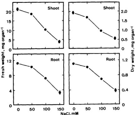 Fig.  1 shows  the  effect  of NaCl  on  the  growth  of  rice  seedlings.  NaCl  significantly  reduced  growth  of shoots  and  roots,  as judged  by  fresh  weight  and  dry  weight,  of  rice seedlings