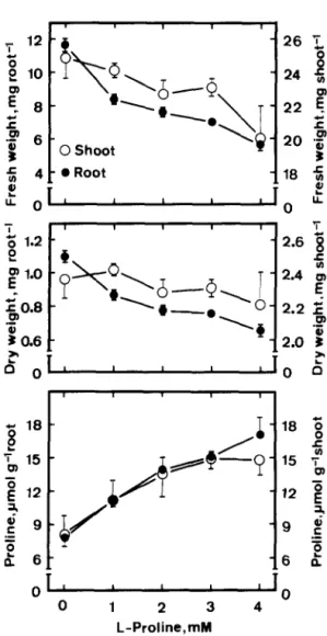 Fig.  4.  Effects  of  L-proline  on  seedling  growth  and  proline  level in  rice  seedlings
