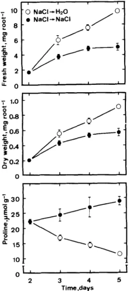 Fig.  7.  Changes  in  growth  of  and  proline  level  in  roots  of  gabaculine-treated  rice  seedlings  grown  in  the  presence  or  ab-  sence  of gabaculine  (25 PM)