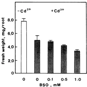 Fig.  5.  Effects  of  L-glutamic  acid  on  root  growth  of  rice  seedlings  in  the  presence  of  CdC12  (Cd’+,  0.3  rnhf)
