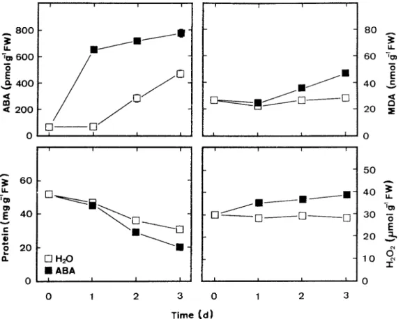 Figure 1. Changes in the contents of ABA, protein, MDA, and H 2 O 2 in rice leaves treated with ABA