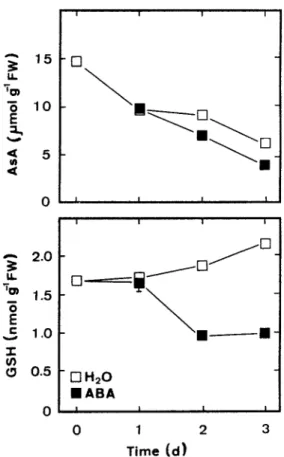 Figure 3. Changes in the contents of AsA and GSH in rice leaves treated with ABA. Detached rice leaves were treated with either water or 45 µmol L –1 ABA in the dark