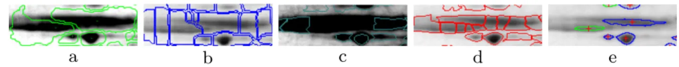 Fig. 12. Analysis of spot and slice tree. (a) A saturated spot with boundary and spot center are shown