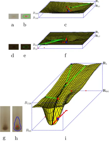 Fig. 13. Results to show the performance of spot detection using a slice tree. (a) Faint spot