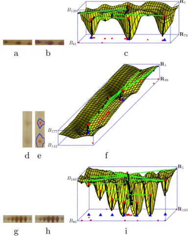 Fig. 14. Multi-spots. (a) Horizontal streak on three spots. (d) Vertical streak on two spots