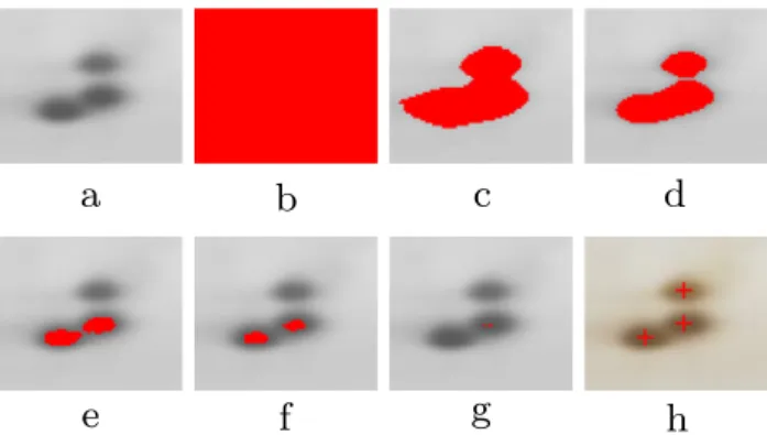 Fig. 3. Binary images of a 2-DE gel image. The binary images shown in red color are superimposed on the original gel image