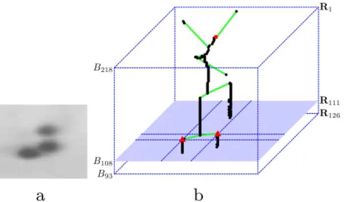 Fig. 6. Slice tree of a real gel image. (a) The same gel image as Fig. 3(a). (b) The corresponding slice tree of (a)