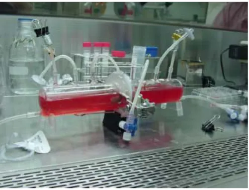 Fig 1 (b). The Double-chamber bioreactor. 