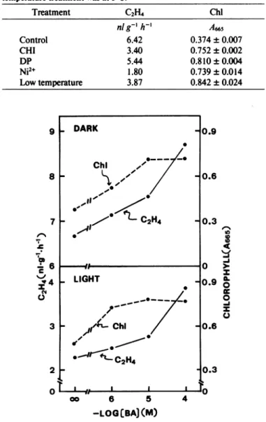 FIG. 3. Effects of BA concentrations on ethylene production and Chl content of detached rice leaves