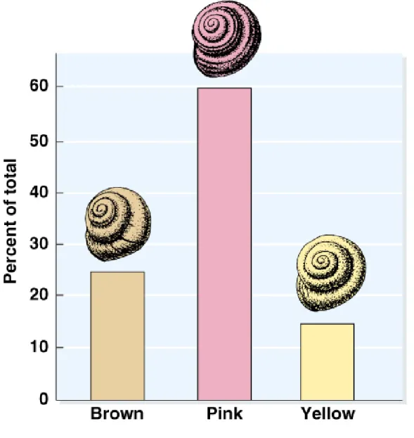 Fig. 14.1  Discontinuous distribution of shell color in the snail Cepaea  nemoralus from 