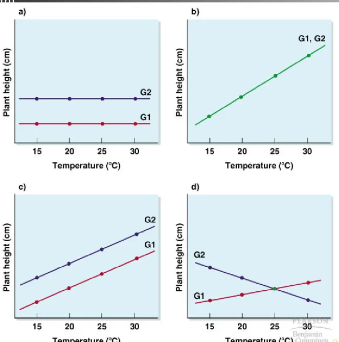 Fig. 14.10  Hypothetical example of the effects of genes and environments  on plant 