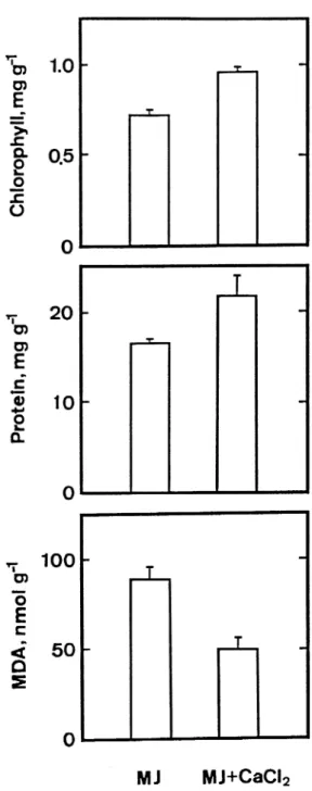 Figure 2. Effect of BA on MJ-promoted senesence and MJ-increased MDA level in detached rice leaves