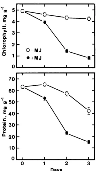 Fig.  2.  Time  course  of  ethylene  production  in  detached  rice  leaves  floating  on  water  or  MJ  (45  IxM) in  darkness