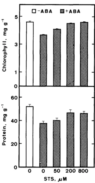 Fig.  7.  Effect of  STS  on  ABA-promoted senescence of detached rice  leaves. The concentration of ABA was 45  I~M