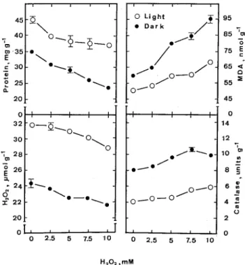 Figure 1.  Effects of H 2 O 2  on the levels of protein, MDA, and endogenous H 2 O 2 , and the activity of catalase of detached rice leaves under light and dark conditions