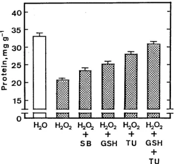 Table 1. Effect of thiourea (TU) on superoxide dismutase (SOD), ascorbate peroxidase (APOD), and glutathione reductase (GR) activities in detached rice leaves treated with H 2 O 2.