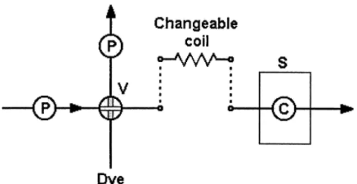 Fig. 3. Layout of the flow injection system used in this study. The