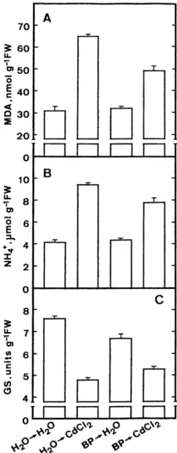 Figure 2. Effect of free radical scavengers on the content of mal- mal-ondialdehyde (MDA) and ammonium ions and the activity of glutamine synthetase (GS) in detached rice leaves in the light