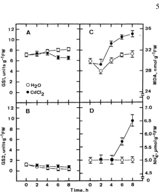 Figure 4. Effect of paraquat (PQ) on the contents of malondialde- malondialde-hyde (MDA) and ammonium ions and the activity of glutamine synthetase (GS) in detached rice leaves in the light