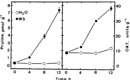 Figure 1. Time course of the effect of water stress (WS) on proline content and OAT activity in detached rice leaves