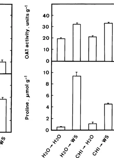 Figure 2. Effect of gabaculine on proline content and OAT activity in detached rice leaves treated with water stress