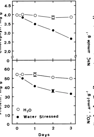 Figure 2. Changes with time in chlorophyll and protein levels of detached rice leaves