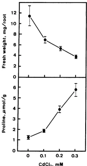 Fig.  1.  Effects of CdClz on root  growth  and proline  level  in  roots of  rice  seedlings