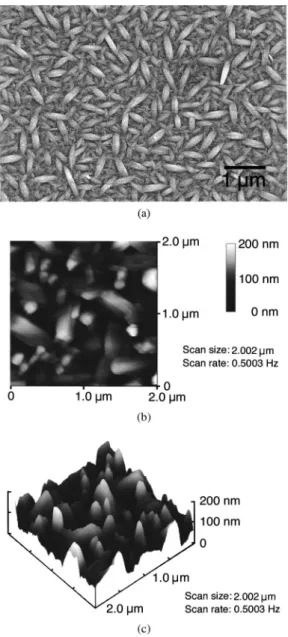 FIG. 2. PM–NSOM images of the AlQ 3 crystalline film: 共a兲 dichroic ratio image and 共b兲 phase image.