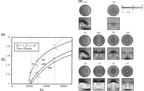 Fig. 9. Calculated results for the two-phase problem (A  1 and L s =L m  1): (a) bifurcation diagram; (b) some thermal and ¯ow structures.