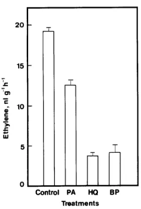 Fig. 2.  Changes  with  times  in  in  viva  ACC  oxidase  activity  in  detached  rice  leaves treated  with  BP
