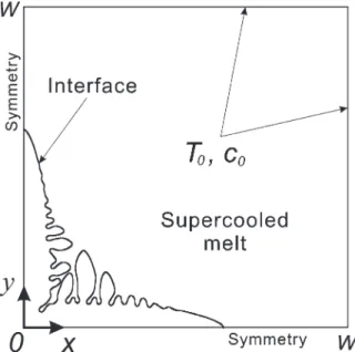Fig. 1. A schematic of a binary dendrite growing freely in a supercooled and supersaturated melt.