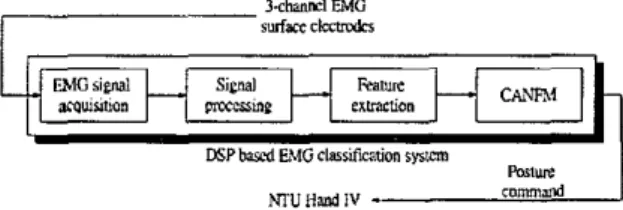 Fig. 5  Block diagram of the EMG classification system  Feature  extraction  methods  (ARM  and  HEMG)  and  classifications  (CANFM)  are  embedded  in  DSP  with  its  own assembly codes [3]