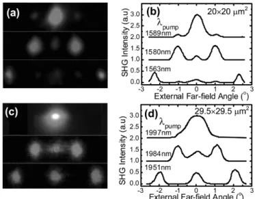 Fig. 1. 0Z magnified micrograph showing an NPC consisting of 2-D distribution of inverted domains residing on a tetragonal lattice structure.
