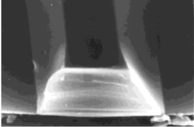 Figure 3 SEM micrograph of the cross section of trapezoid poly- poly-mer optical waveguide
