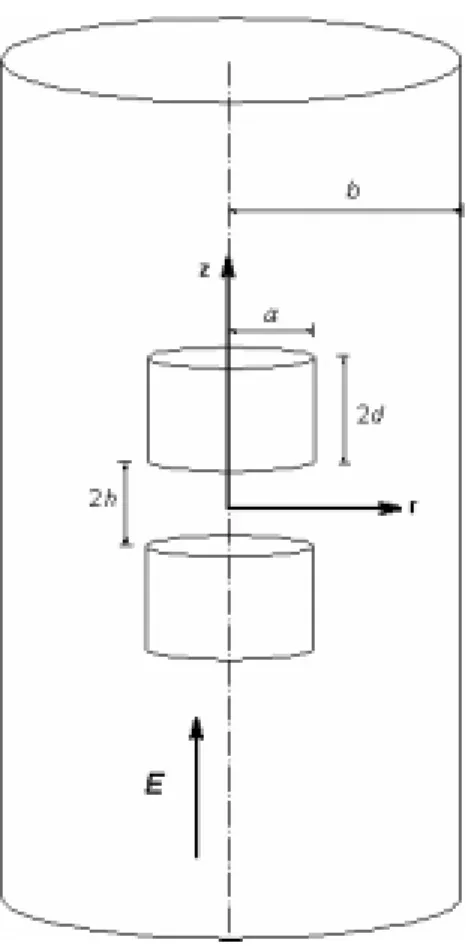 Figure 1. Schematic representation of the problem considered.  Two charged cylindrical  particles with a separation distance 2h are placed on the axis of an infinite cylindrical pore  of radius b