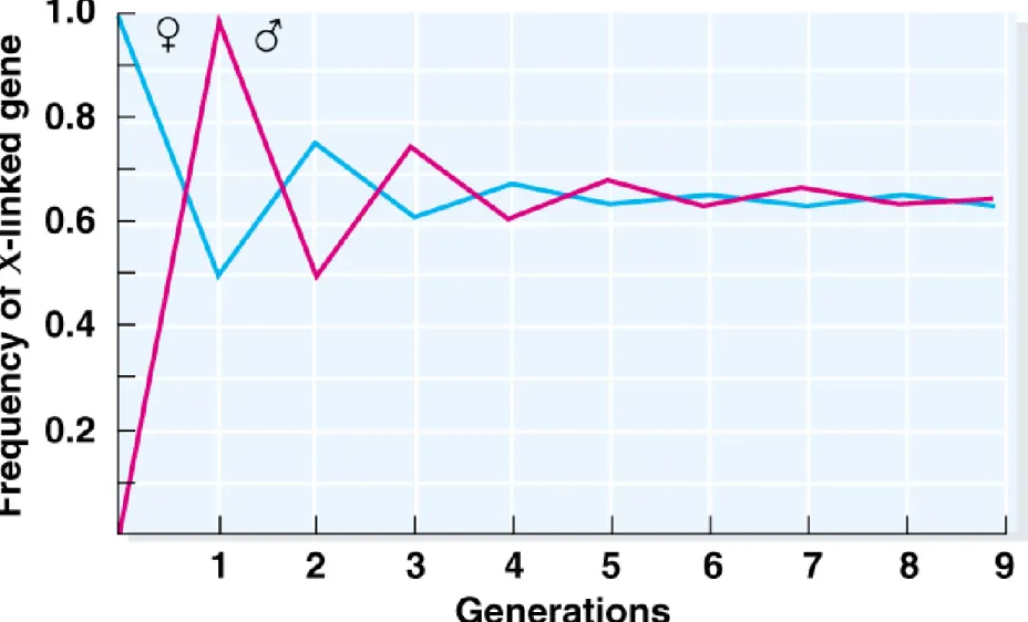 Fig. 24.4  Representation of the gradual approach 
