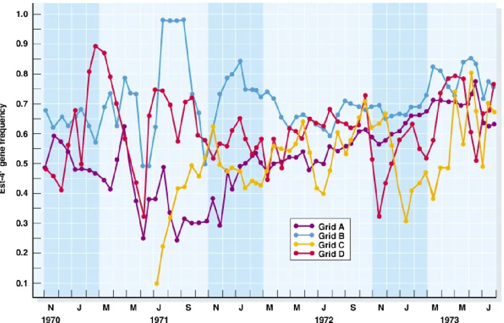 Fig. 24.7  Temporal variation in the locus coding for the enzyme esterase  4F in the 