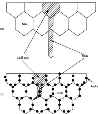 Fig. 8. Schematic diagrams for the formation of flaws during the grinding of (a) NiAl and (b) Al 2 O 3 /NiAl composites.