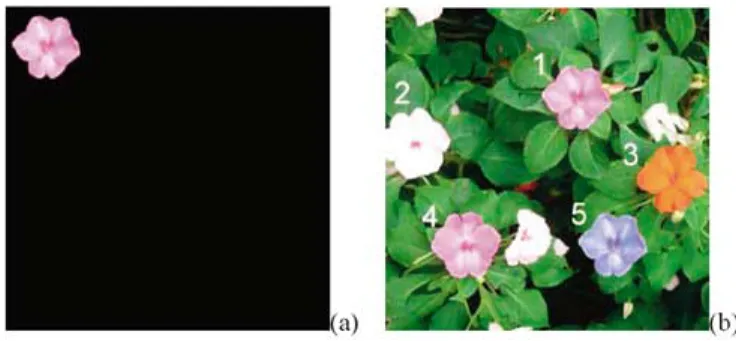 Fig. 10. (a) Reference pattern and (b) input nature image of Experiment 3.